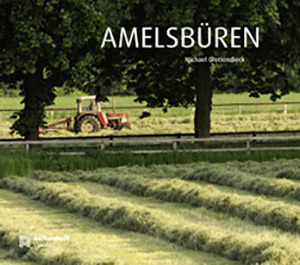 Cover: Amelsbüren