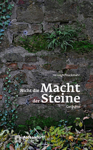 Cover: Nicht die Macht der Steine